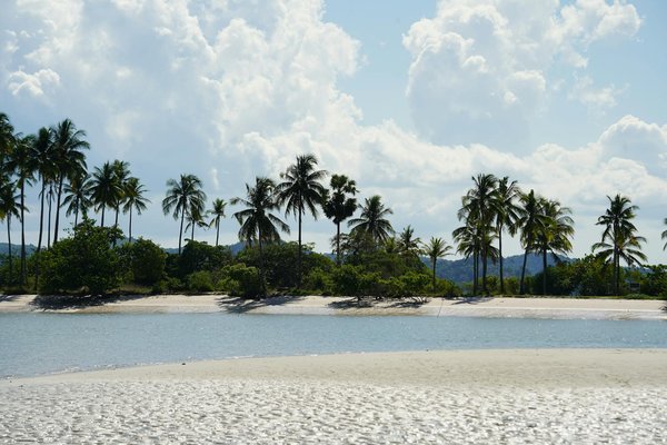 Quels sont les meilleurs spots pour une plongée sous-marine en Égypte?