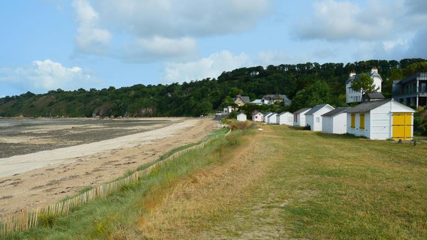Comment organiser une croisière pour explorer les îles Galápagos?